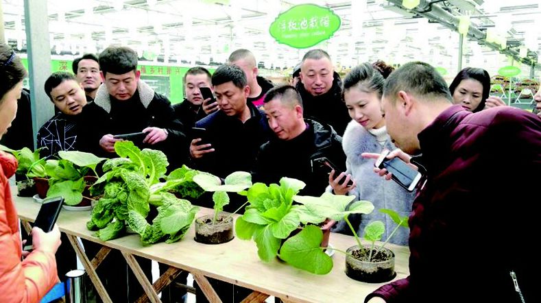 「吉农采风」吉林青年农场主，走进临沂学本领