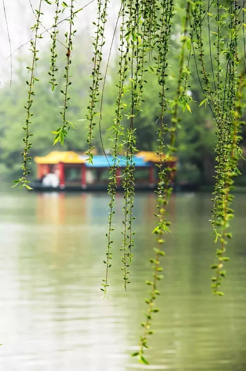 2022年3月机票便宜,三月下旬厦门到成都机票价格