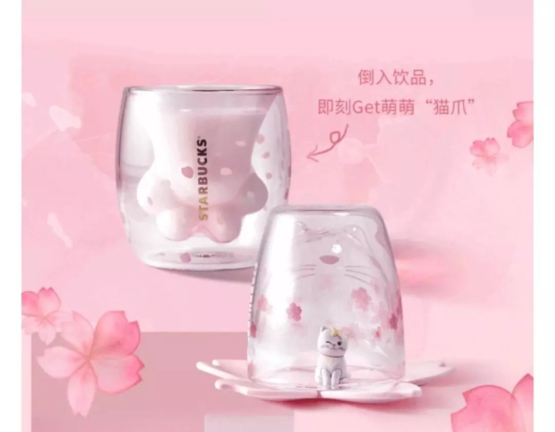 猫爪杯的测评,猫爪杯