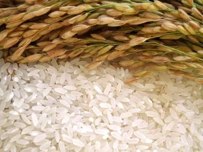 哈尔滨特产必带清单送朋友,哈尔滨旅游带走的美食