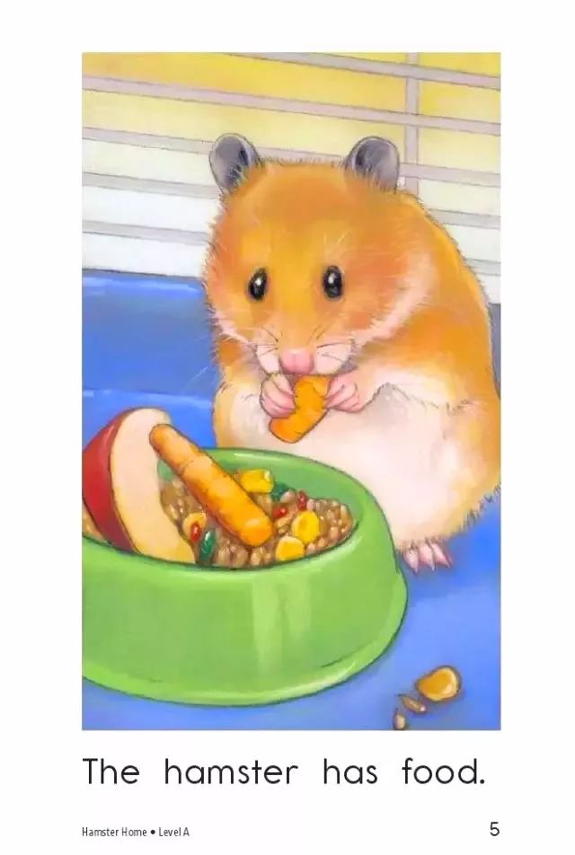 「英语轻松学」之《HamsterHome》仓鼠的家