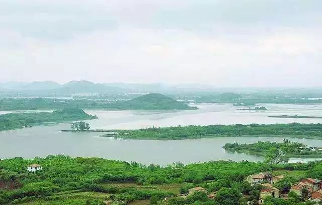 武汉六大湿地公园,百湖之市武汉