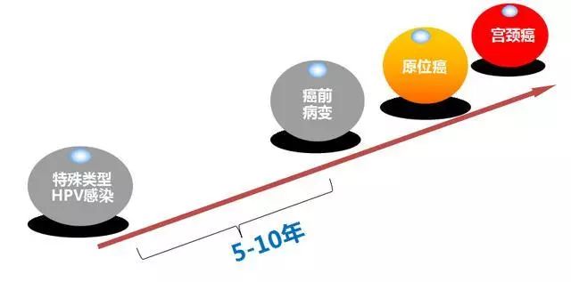 好消息免费接种hpv,hpv好消息