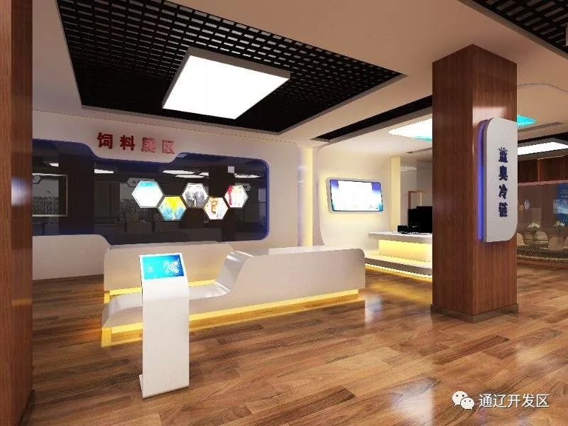 「活力开发区频道」2019年3月3日星期日