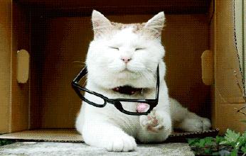 遭禁售的日本眼药水,日本网红眼药水见效快背后的真相