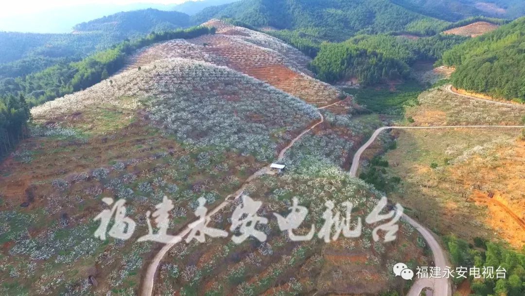 这是一份来自三明的“春天使用说明书”，请仔细阅读！