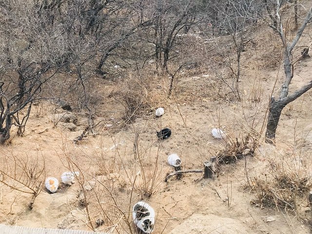 去北京来场说走就走的旅行,开启一路向北的旅行