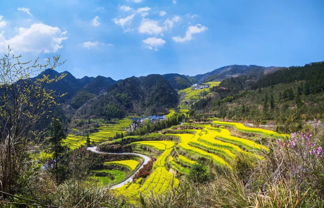 闃冲拰鍚洶鍝佺墿鐨嗘槬涓嬪彞,鎯婅洶杩庝徊鏄ヤ竾鐗╂惡绂忔潵