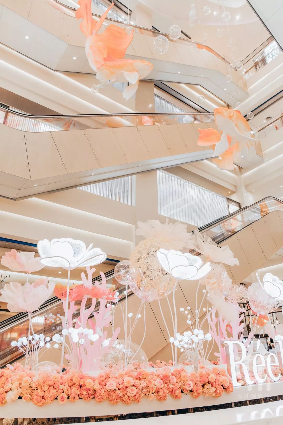 明天，深圳女性同胞将聚集在这个地方，原因竟是...