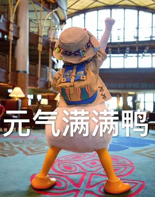 esc心血管预防指南,美国心血管一级预防