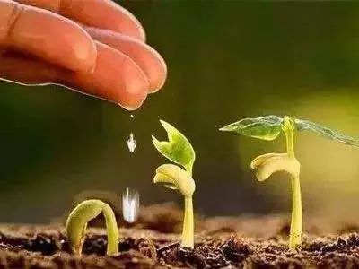 怎样有效的增加土壤的碳元素,土壤中缺了有机质会怎么样