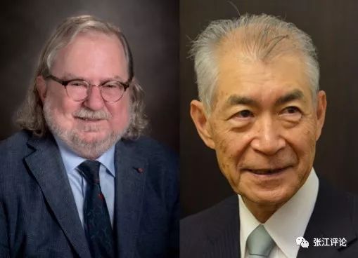 癌症治疗史上的革命：靶向治疗和免疫治疗