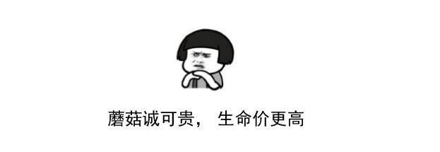 2017毒蘑菇中毒指南,广东进入毒蘑菇高发季节