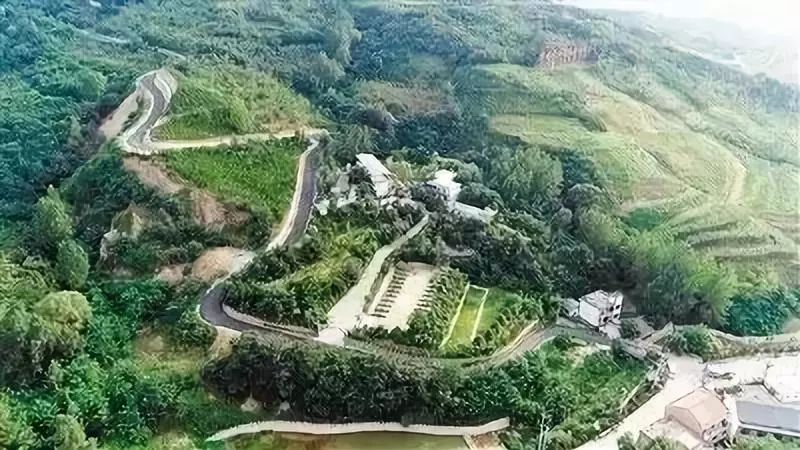 旅游微刊|西安的春天是粉色的！