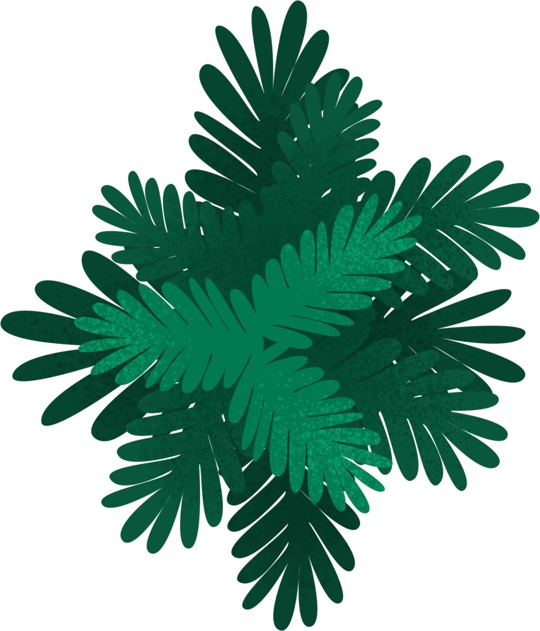 校园内常见的诈骗案例,校园的陷阱