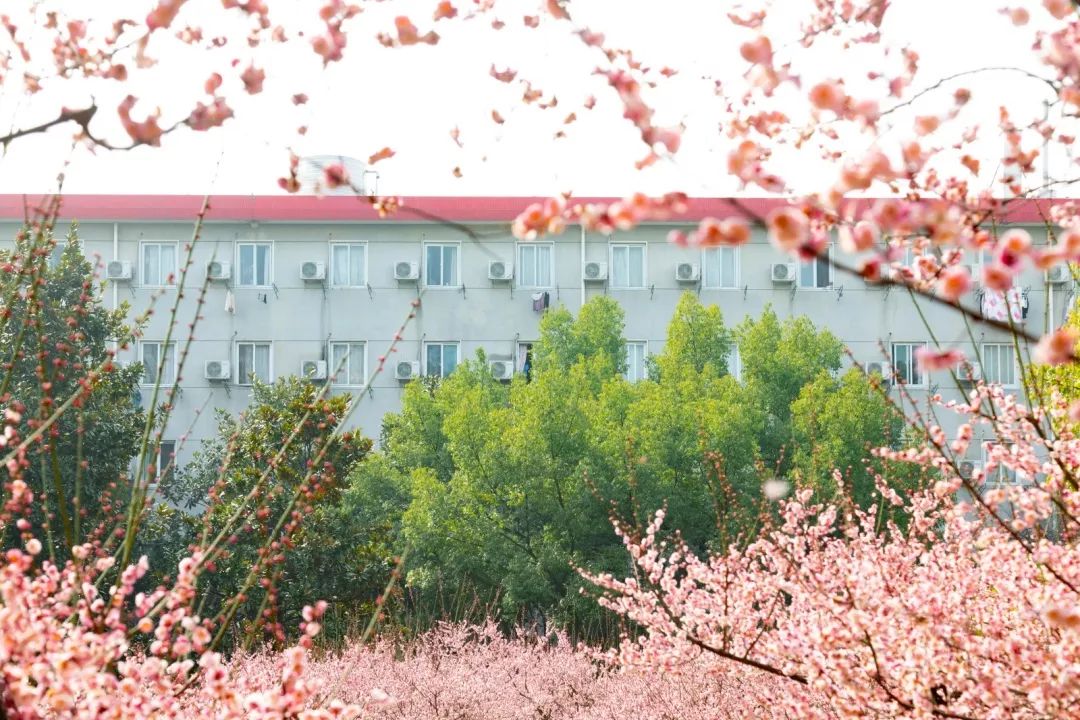 腾讯、联通、新东方都准备来华师“抢人”,本周就业讲座通知汇总,赶紧安排一下!