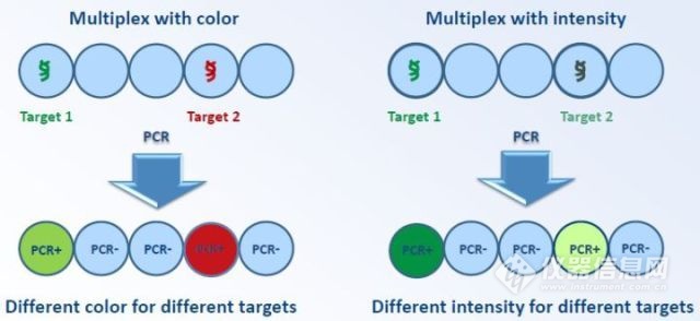 一文快速入门graphql,数字pcr原理图解