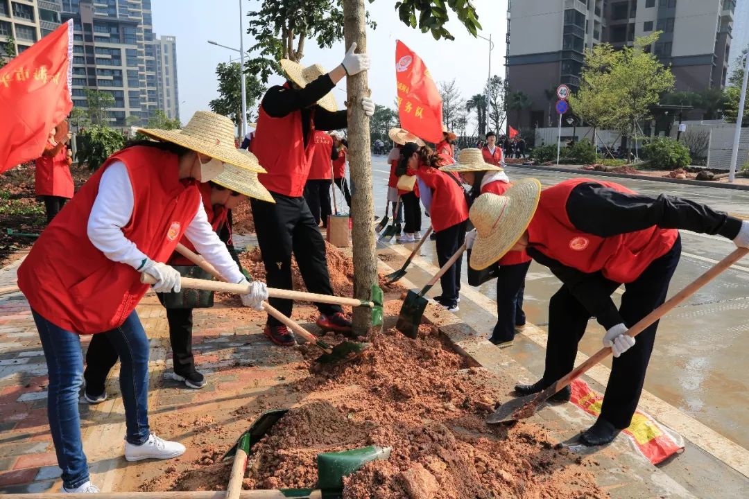斗门为什么叫斗门,外地人眼中的斗门