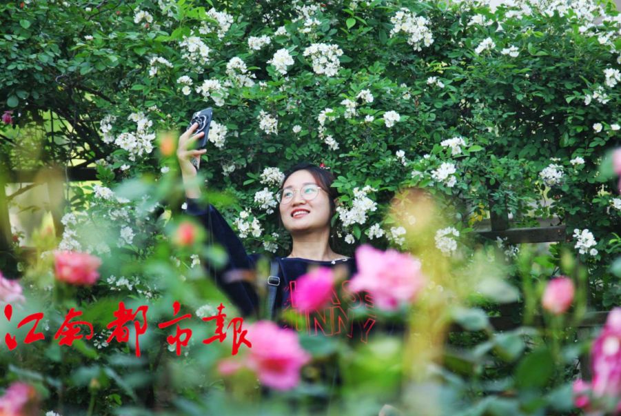 出行、医疗、景点···南昌这些东西全免费，再也不用花冤枉钱啦！