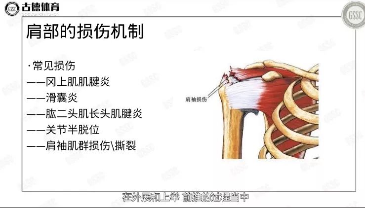 冈上肌放松的正确方法,冈上肌按摩手法