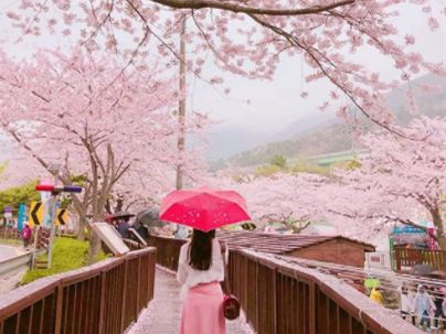 韩国大创美妆好物排行榜,大创美妆推荐产品