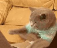 双11活动什么时候买最划算,双11这些东西千万不要买