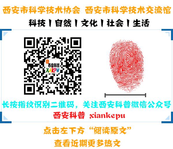 网络安全每日工作小知识,网络安全内容小知识