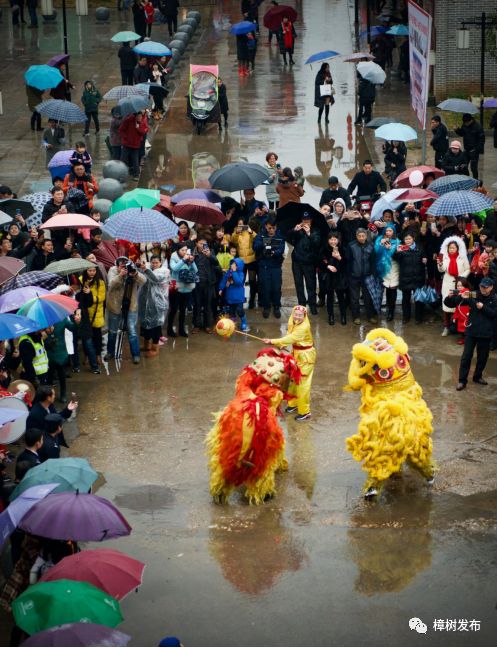 一位临江游子的故乡情：烟雨临江