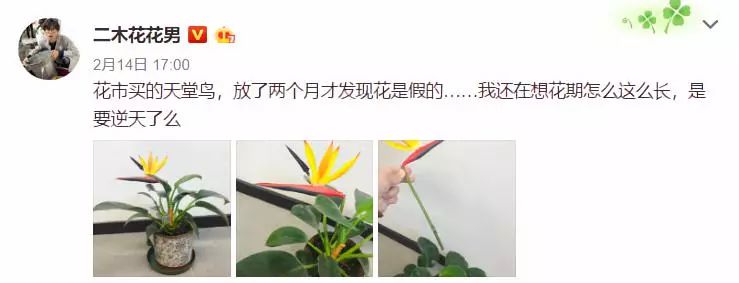 3种方法来辨别真假朋友,三个方面判断骗局