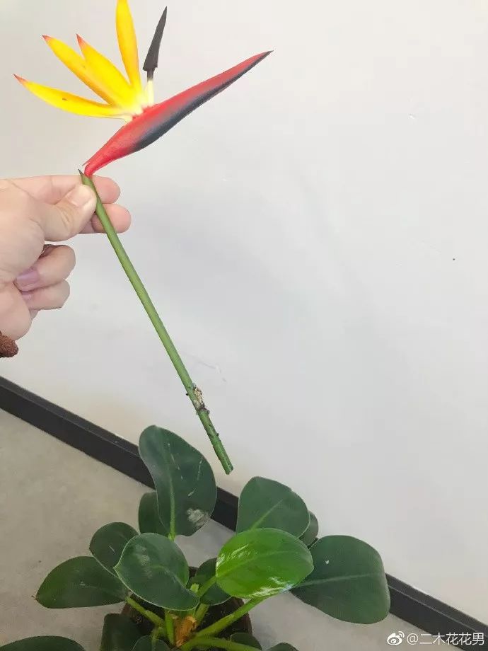 3种方法来辨别真假朋友,三个方面判断骗局