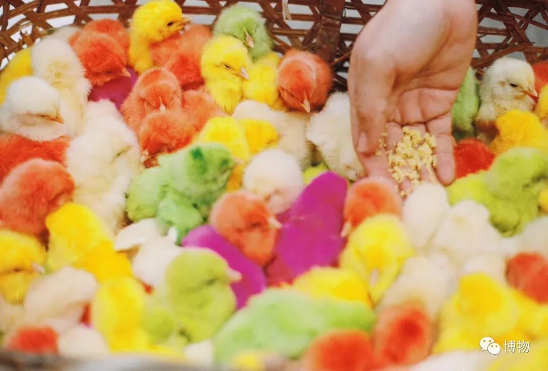 9102年了,别再用“人造”伤害动物和买家