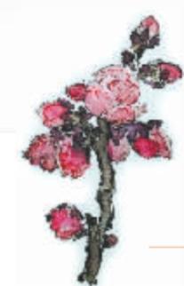 瀹嬭瘝閲岀殑鎴愰兘,鎴愰兘澶╁簻鏂囧寲璁茶В