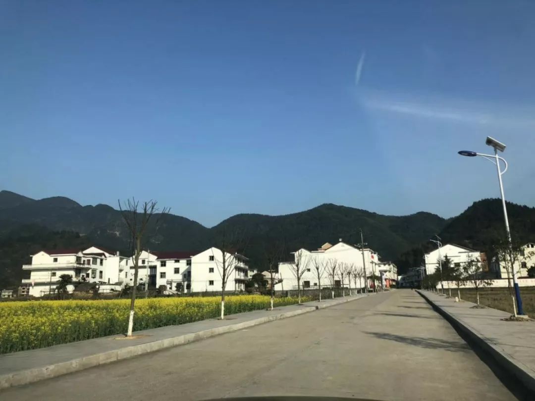 五一五府山蜜蜂谷,春游五龙山