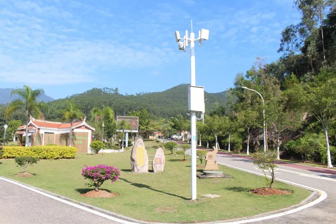 适合踏春的景点厦门,厦门春季旅游攻略