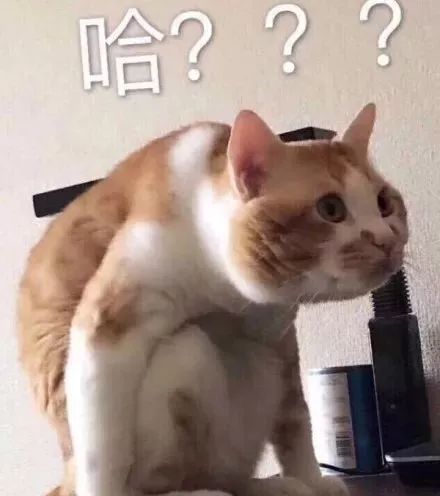 吴昕闲鱼号是什么,吴昕闲鱼账号关闭了吗