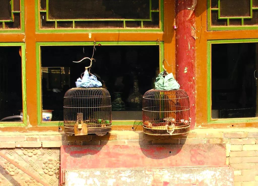 鍗楃楦熺鏂囧寲,楦熺鏂囧寲鐮旂┒