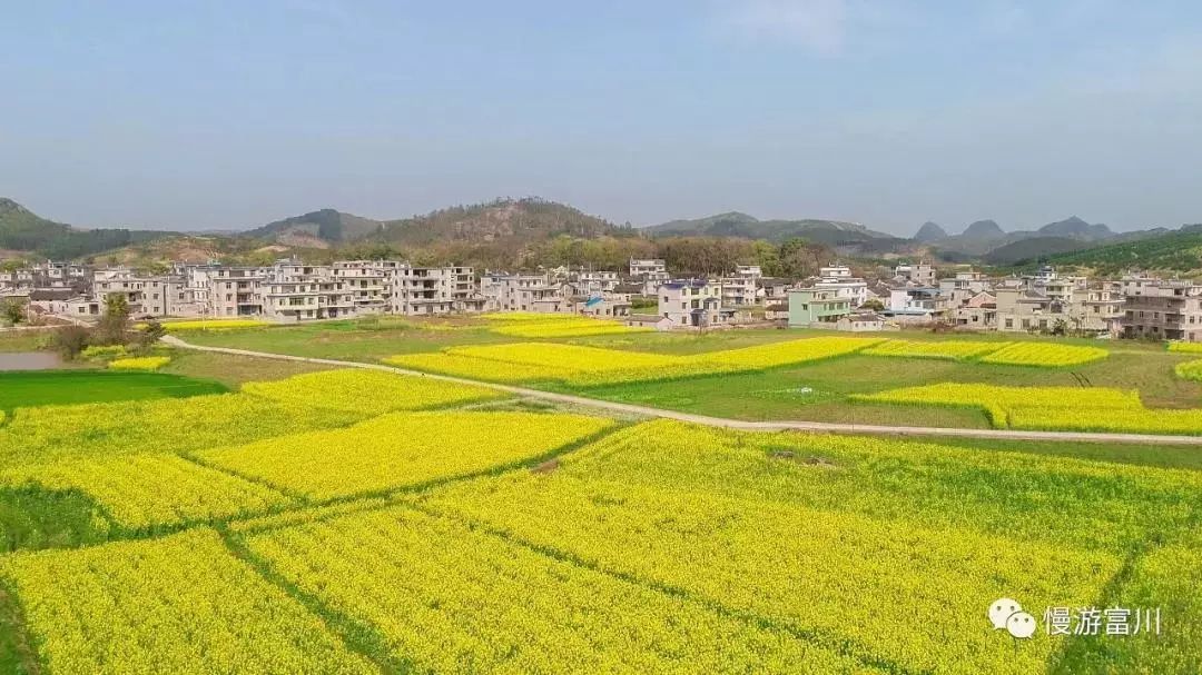 徽派古村梯田花海,徽派建筑油菜花田