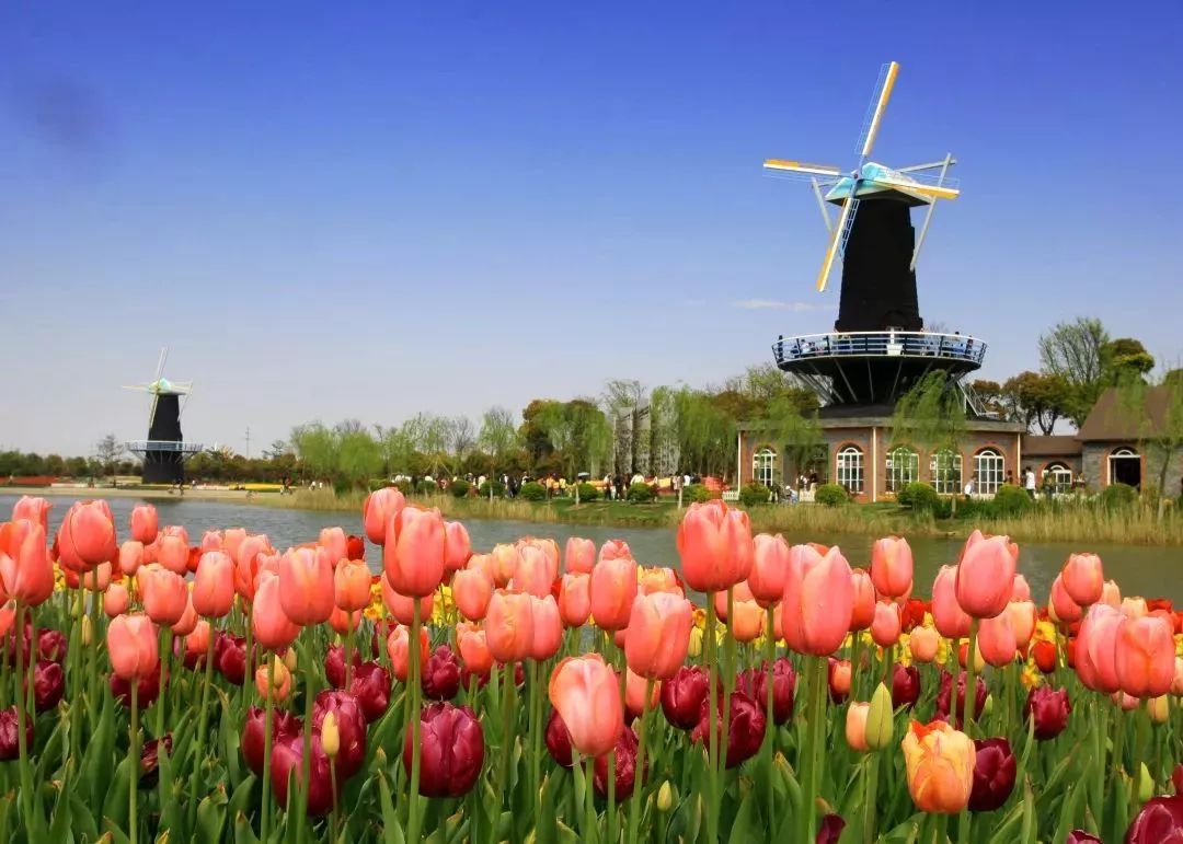 城事指南,浦东区旅游攻略