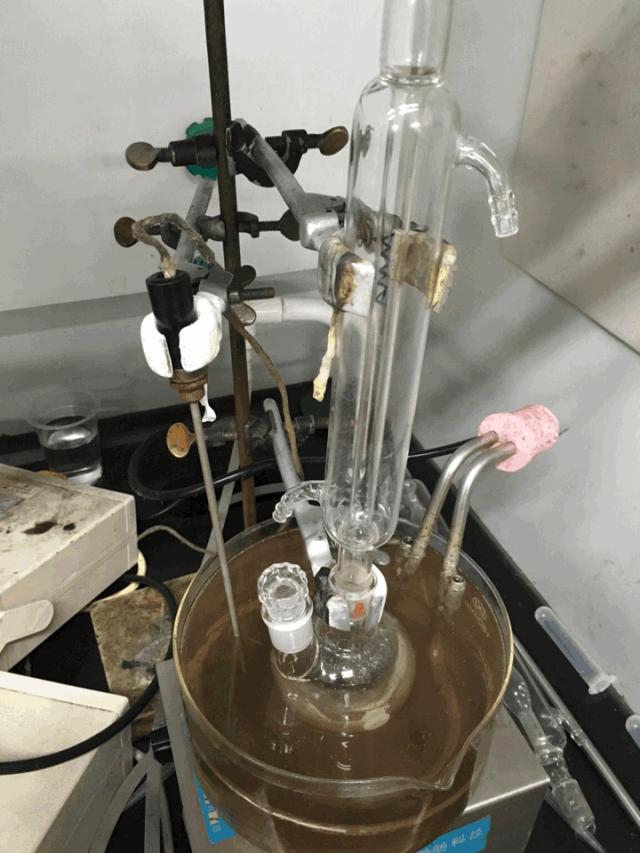 这大概是全世界最无聊的人了