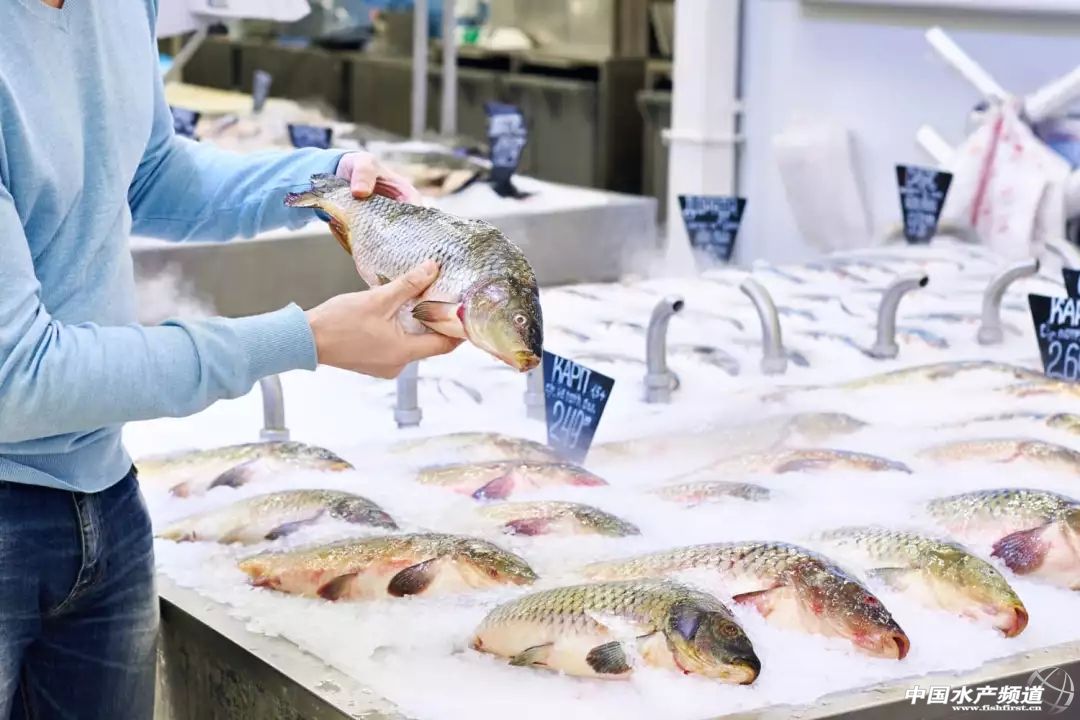 速冻海鲜和慢慢冻的区别大么,活海鲜怎么速冻