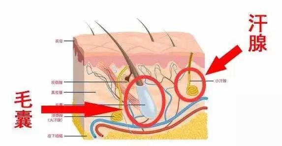春天到了，要不要一次*光脱**呢？