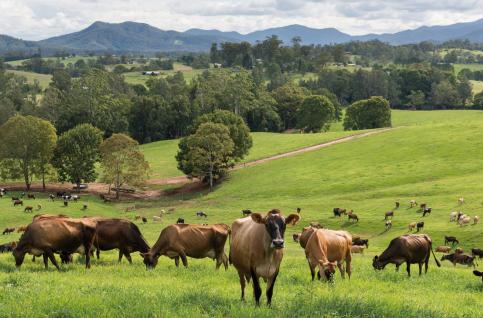 融侨集团最近新消息,融侨集团何时开业