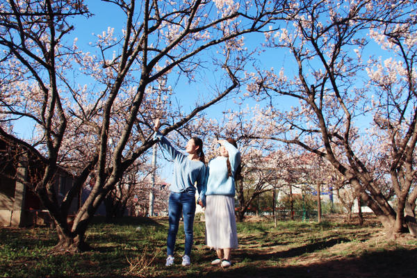 春游郑州这份赏花攻略请收好,郑州自驾踏青赏花好去处