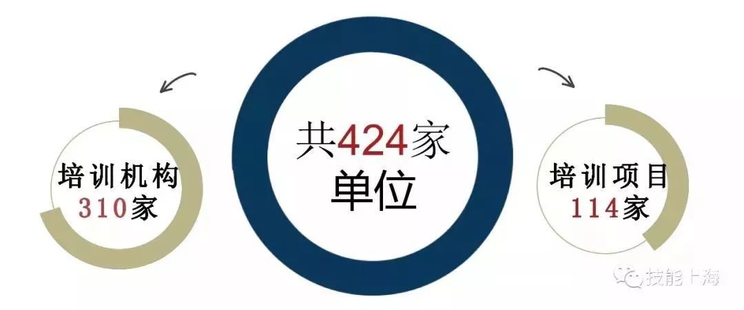 职业技能培训哪家强？宝山这几家*级A**培训机构了解一下！
