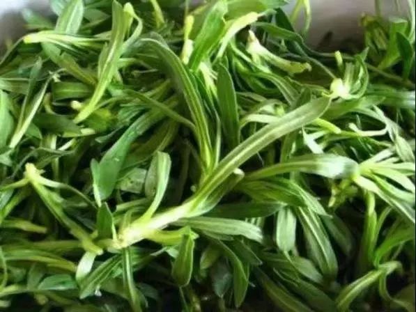 郑州周边踏青采摘野菜,郑州自驾踏青赏花好去处