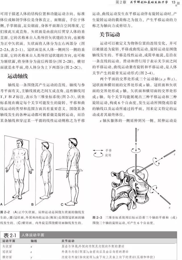 好书推荐|风靡全球的美式整脊教科书，了解整脊技术的必备参考——《美式整脊技术:原理与操作,引进版~中译本,第3版