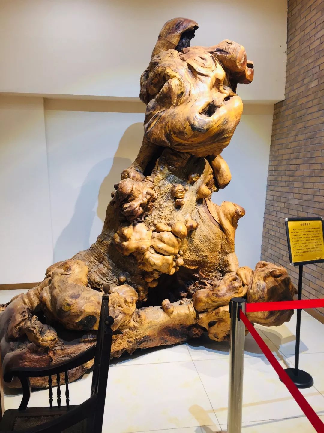 带孩子云游国内外10大顶级博物馆,青岩古镇金丝楠木博物馆