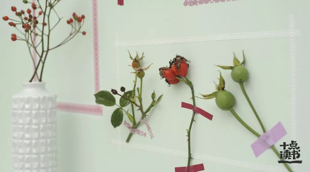 林清玄化妆的三层境界,林清玄生命的化妆全文