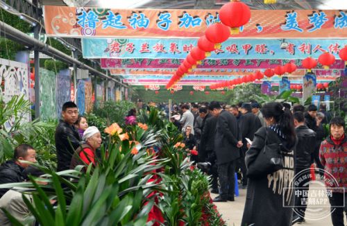 十五届长春君子兰节开幕式,第十七届中国长春君子兰节