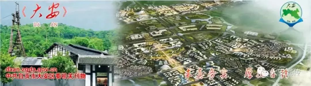 大安市联合医院,紧密型医联体工作总结及计划